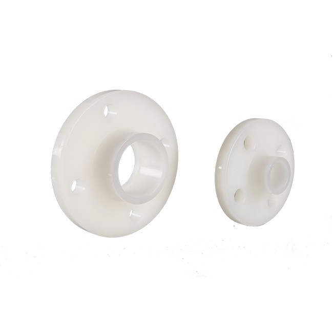PVDF TS Flange