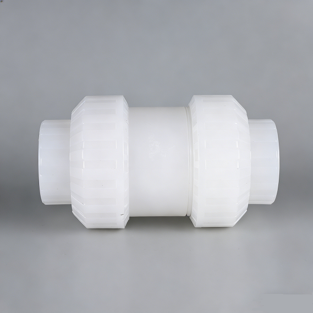 img of PVDF True Union Check Valve