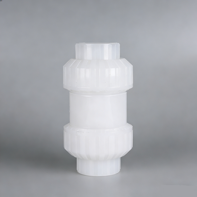 PVDF True Union Check Valve